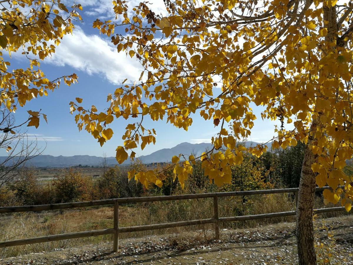 Benissuera Casa Rural L'Avia Ticaゲストハウス エクステリア 写真